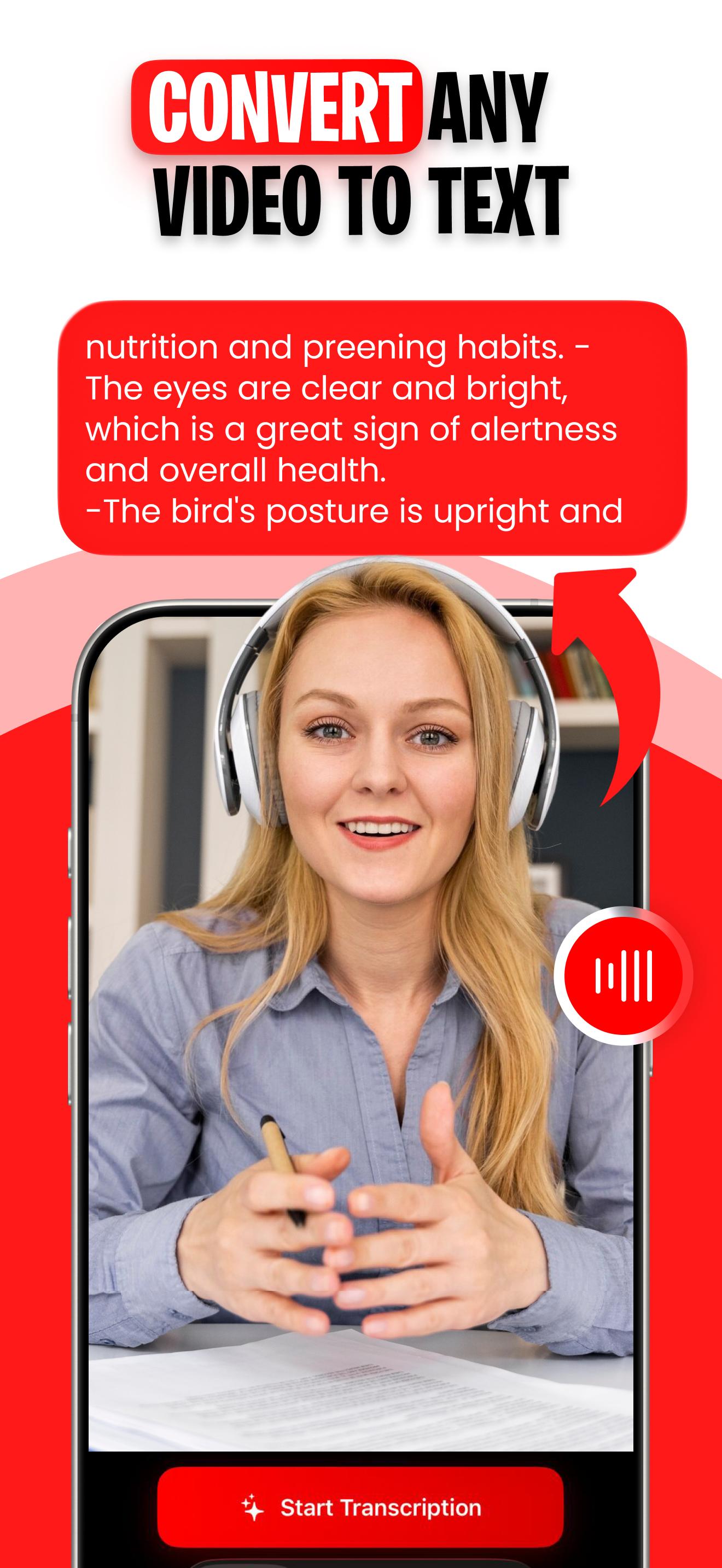 VidNotes — transcribe any video